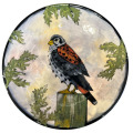 Dinner Plate with a Kestrel on Peach Blush